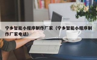 南城宁乡智能小程序制作厂家（宁乡智能小程序制作厂家电话）