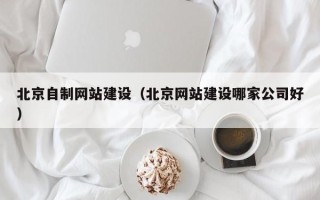 南城北京自制网站建设（北京网站建设哪家公司好）